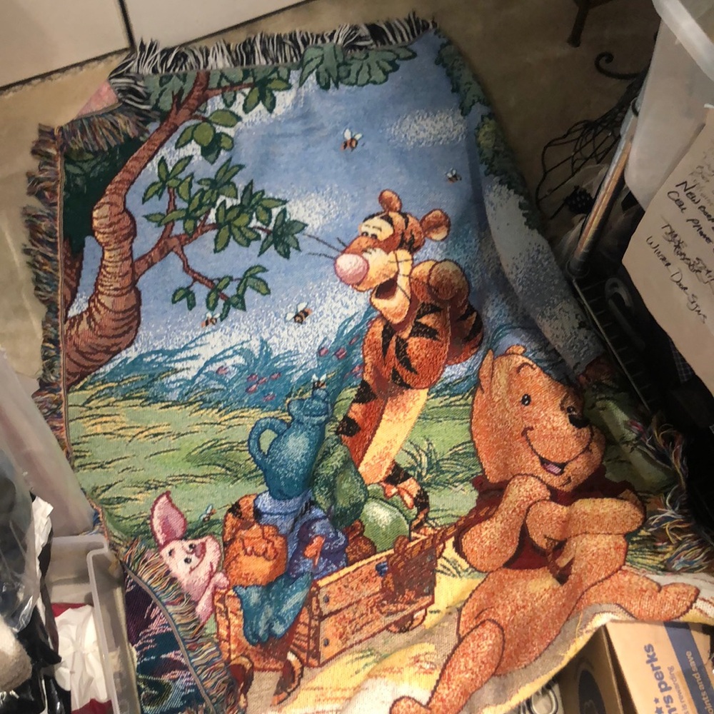 Adorable Winnie the Pooh blanket throw.